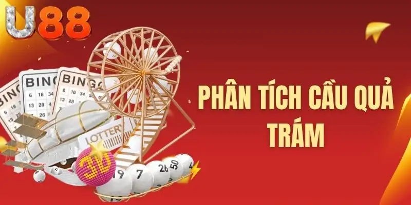 Phân tích cầu quả trám